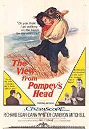 The View From Pompey's Head (1955)