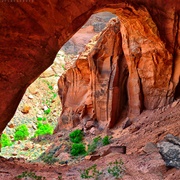 Wrather Arch