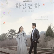 When My Love Blooms (2020)