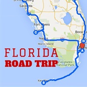 Take a Road Trip to Florida