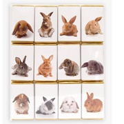 House of Dorcester Rabbit Milk Chocolate Slims