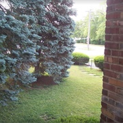 Rental House, Louisville KY