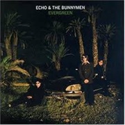 Echo & the Bunnymen - Evergreen