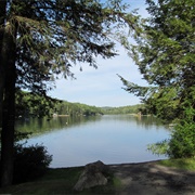 Erving State Forest, Massachusetts