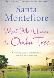 Meet Me Under the Ombu Tree (Santa Montefiore)