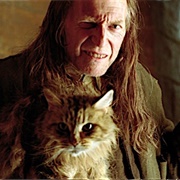 Mrs.Norris (Harry Potter)