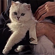 Blofeld's Cat (From Russia With Love)