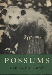 Possums (Carl G. Hartman)