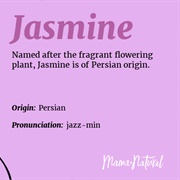 Jasmine