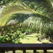 Rental House, Haleiwa HI