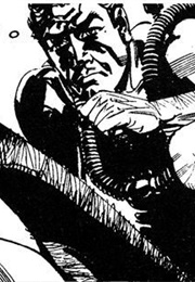 The Hildebrand Rarity (Comic Strip)