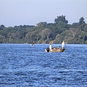 Kensington Metropark