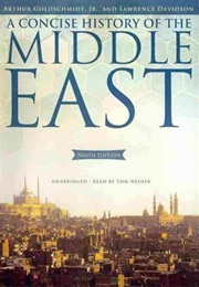 A Concise History of the Middle East (Arthur Goldschmidt)