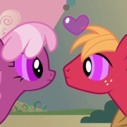 Hearts and Hooves Day