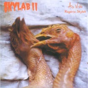 Skylab II (Rogério Skylab - 2000)