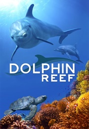 Dolphin Reef (2018)
