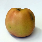 Akero Apple