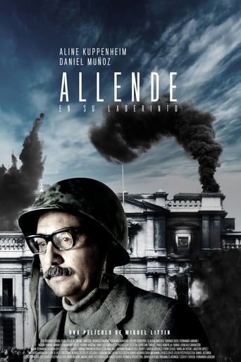 Allende En Su Laberinto (2014)