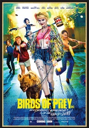 Birds of Prey (2020)