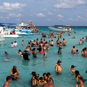 Sting Ray City, Grand Cayman