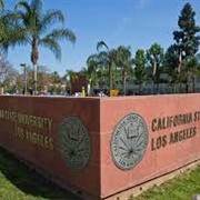 California State University  Los Angeles