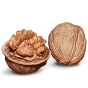 English Walnut