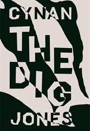 The Dig (Cynan Jones)