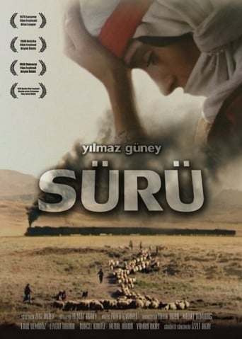 The Herd (1979)