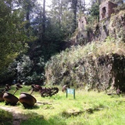 Luck at Last Mine Track, Whangamata