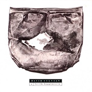 Let the Happiness in - David Sylvian