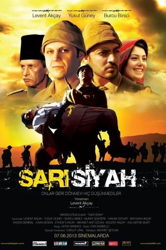 Sari Siyah (2013)