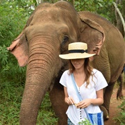 Elephant Nature Park