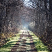 Oasi Della Bruschera, Angera