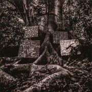 Harmony of Difference - Kamasi Washington