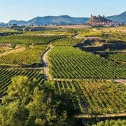 Rage Wine War in La Rioja, Spain