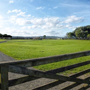 Ambury Park and Stonefields
