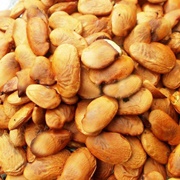 Indian Beech (Millettia Pinnata)