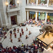 Zoom Into the New York History Museum's Day-Long Party.