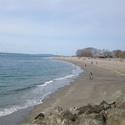 Golden Gardens Park