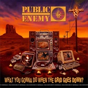 What You Gonna Do When the Grid Goes Down?  (Public Enemy, 2020)