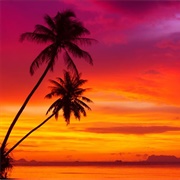 Watch Gorgeous Sunsets