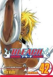 Bleach Volume 42 (Tite Kubo)