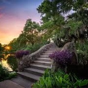 Explore New City Park in New Orleans