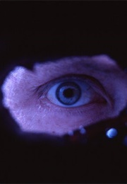 Santos Palace (2006)