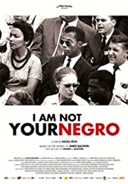 I Am Not Your Negro (2016)