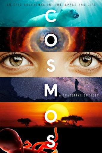 Cosmos: A Spacetime Odyssey (2014)