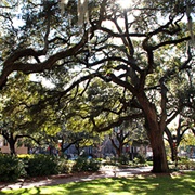 Twilight, Chatham Square, Savannah, GA
