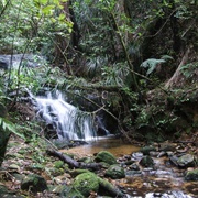 Mt Elyzah Mine Walk, Katikati