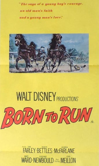 Born to Run (1979)