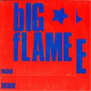 Big Flame-Rigour